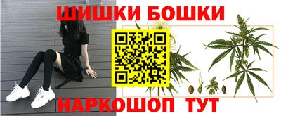 дживик Сланцы